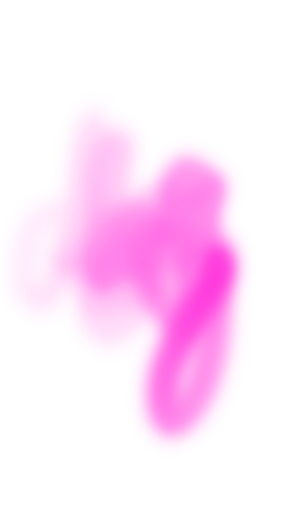 Tschaikner_Julia_democracy_diversity_02